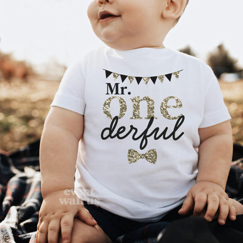 Baby sitting outdoors on a blanket in a white Mr Onederful baby tee.