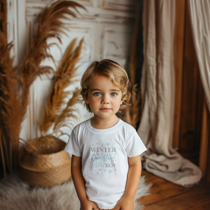 Toddler boy in a white blue and silver Winter Onederland Birthday Boy tee.